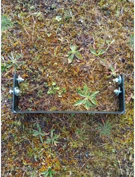 Lame de rechange pour sarcloir